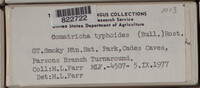Image Associated With the Occurence